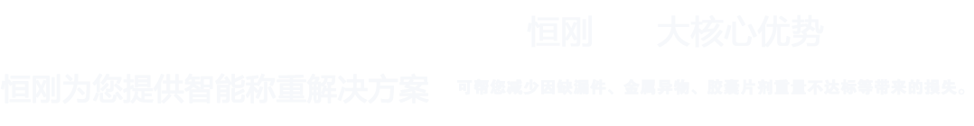 上海恒刚仪器仪表有限公司